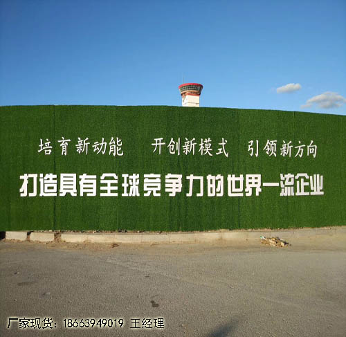 假草坪固定墙面延安?