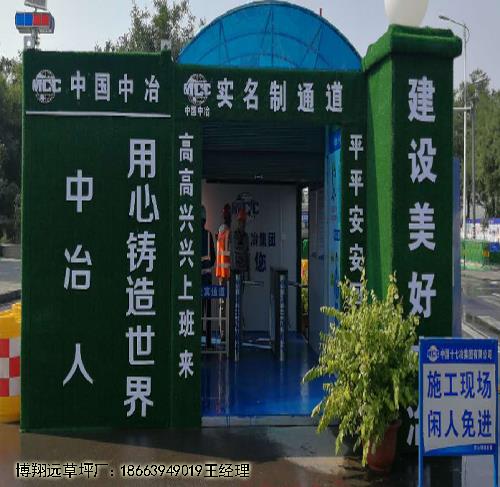 围墙塑料草坪邢台哪个厂家好