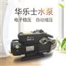 自动自吸泵 屋顶水塔家用自动加压泵自动供水系统