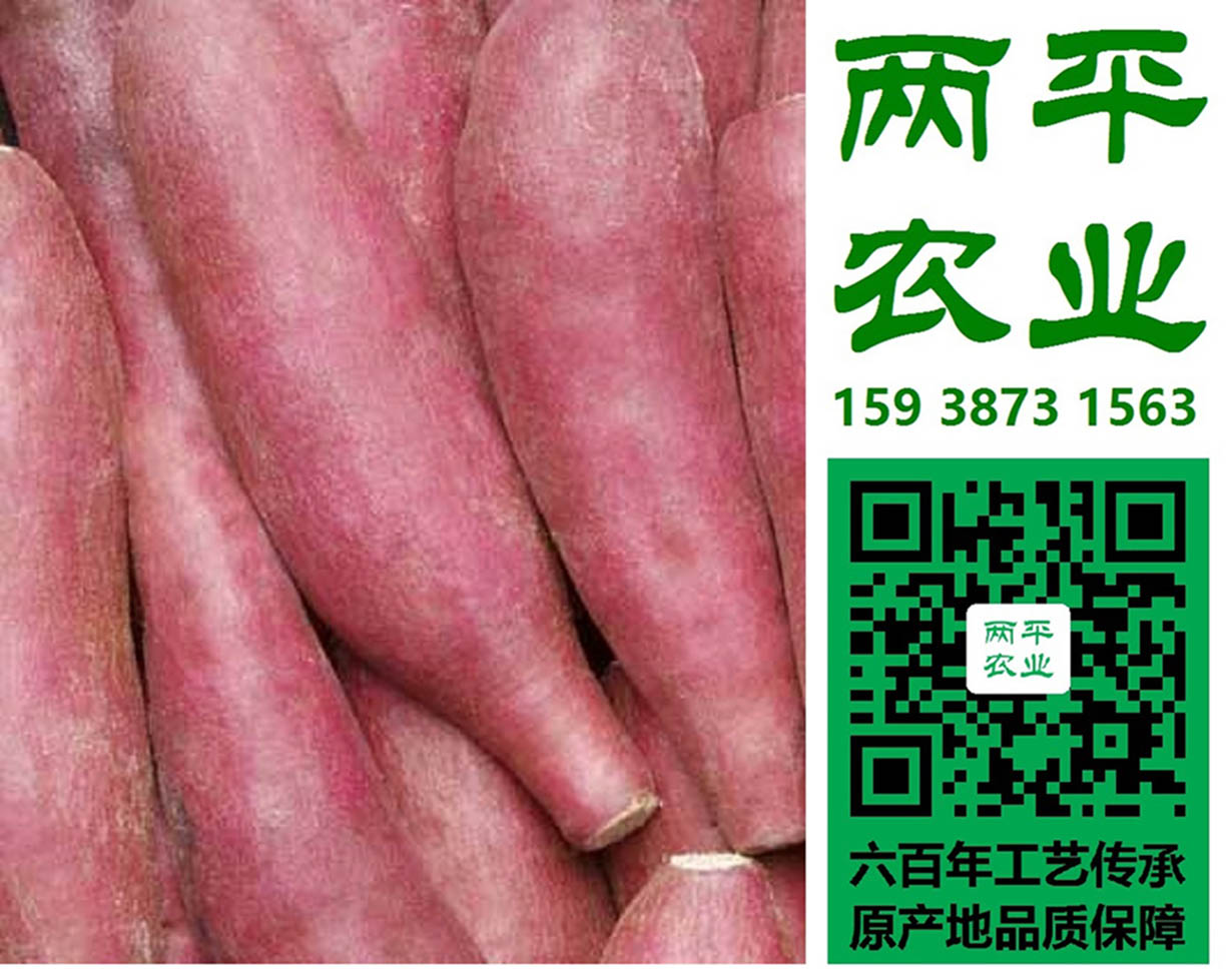 驻马店红薯粉条品牌