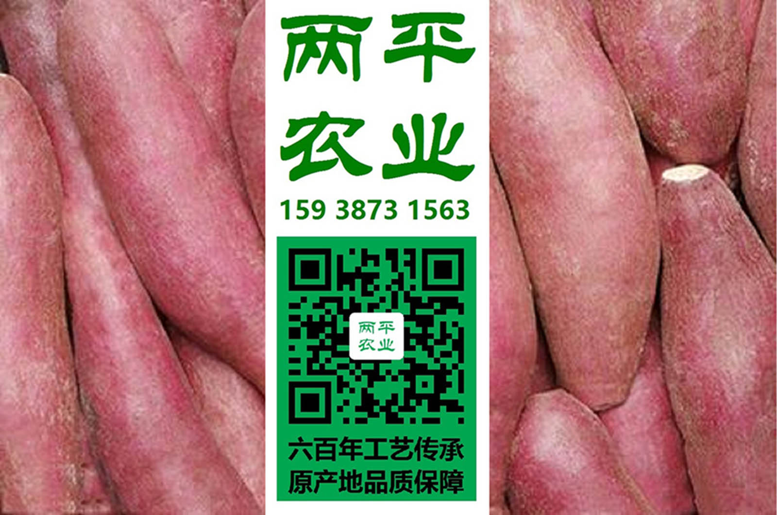 昌吉正宗红薯粉条零售价
