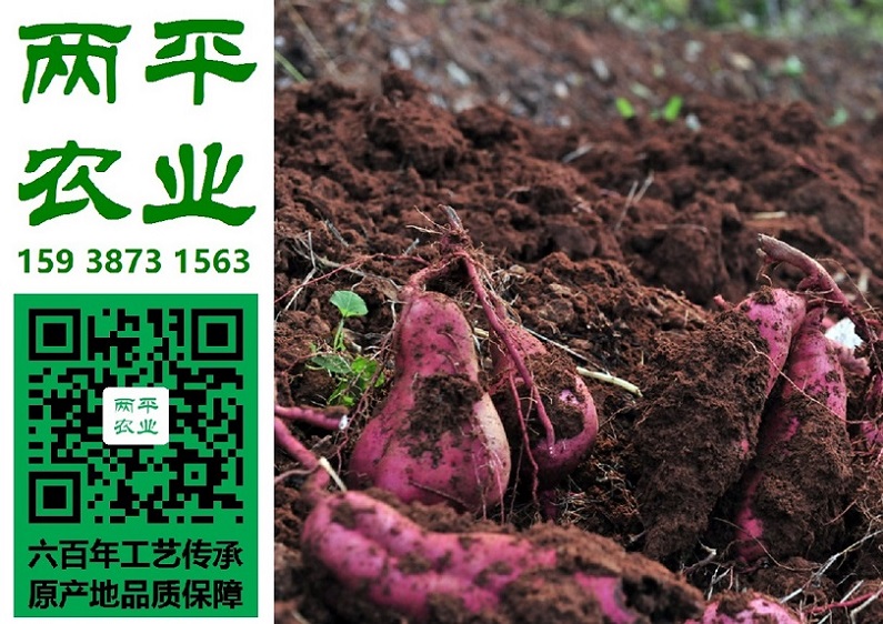 宜宾正宗红薯粉条原产区
