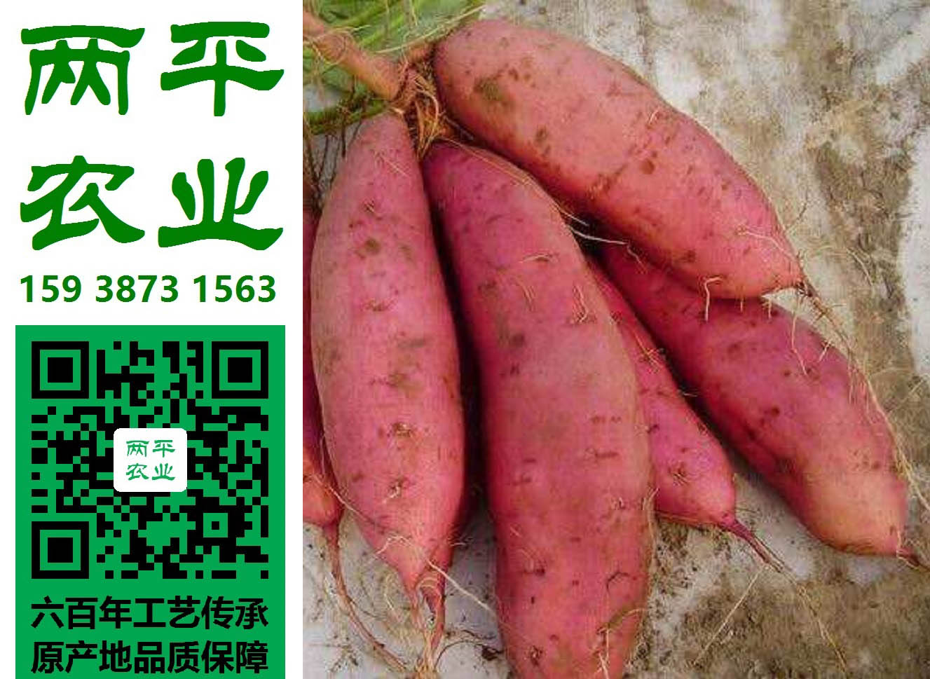 通化正宗红薯粉条生产基地