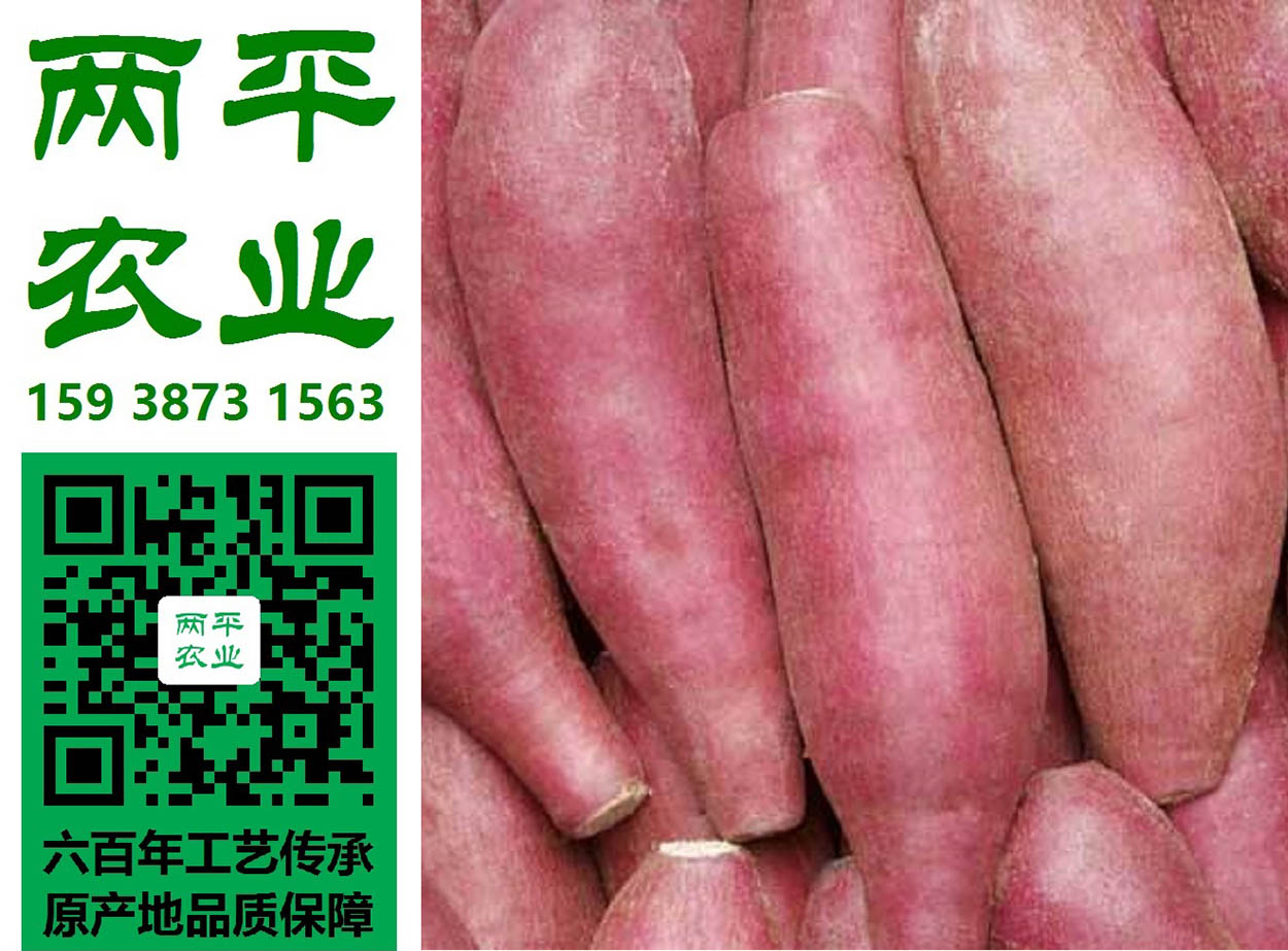 江门纯红薯粉条原产地
