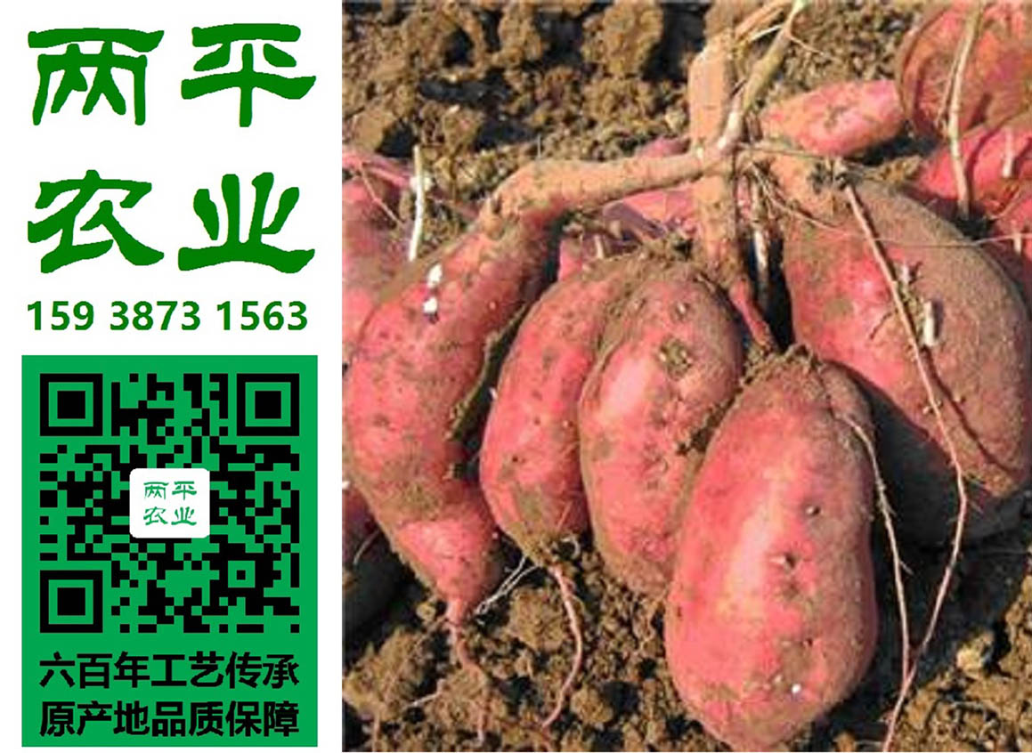 克拉玛依纯红薯粉条定制厂商