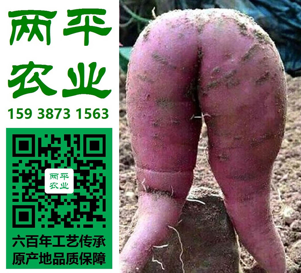 昌都纯红薯粉条定制厂商