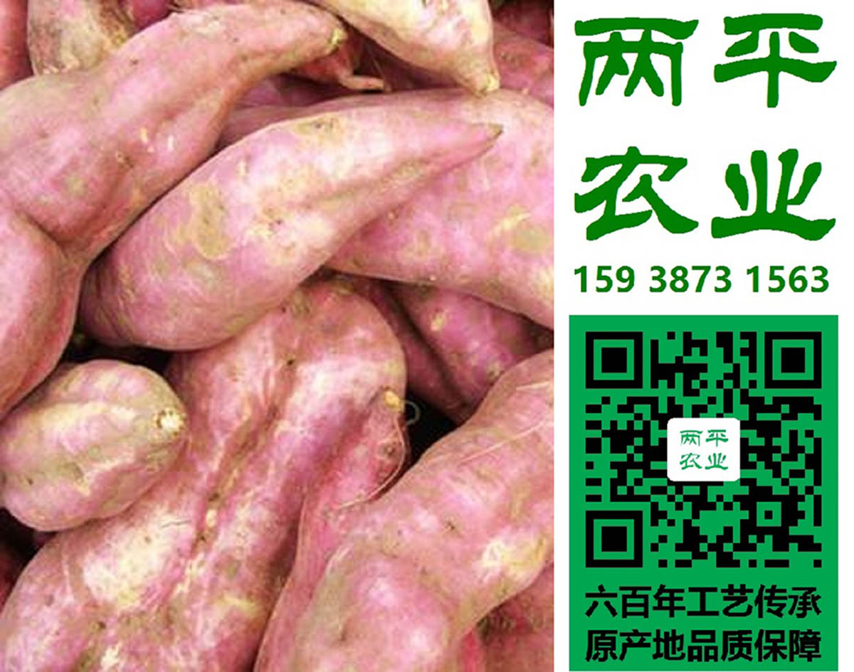 黄冈红薯粉条分辨方法