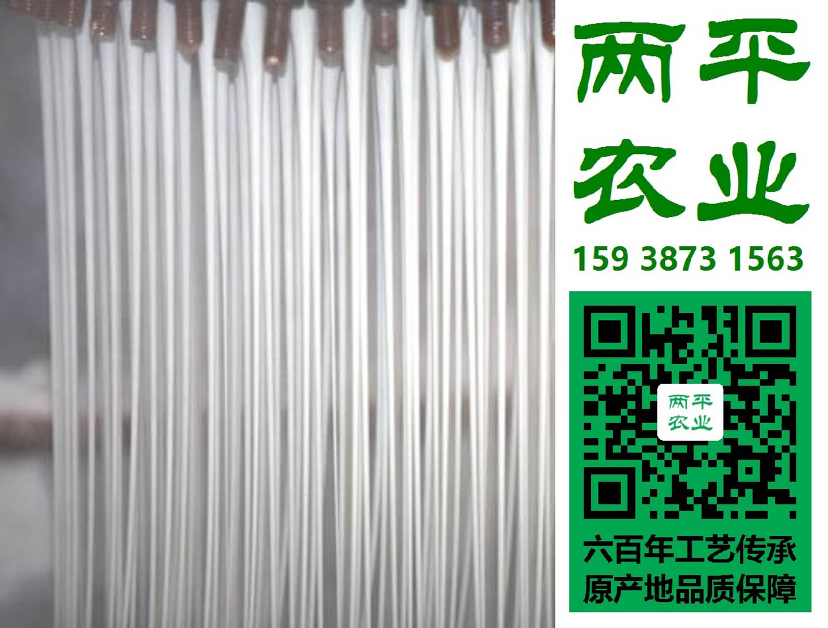 赣州红薯粉条批发价
