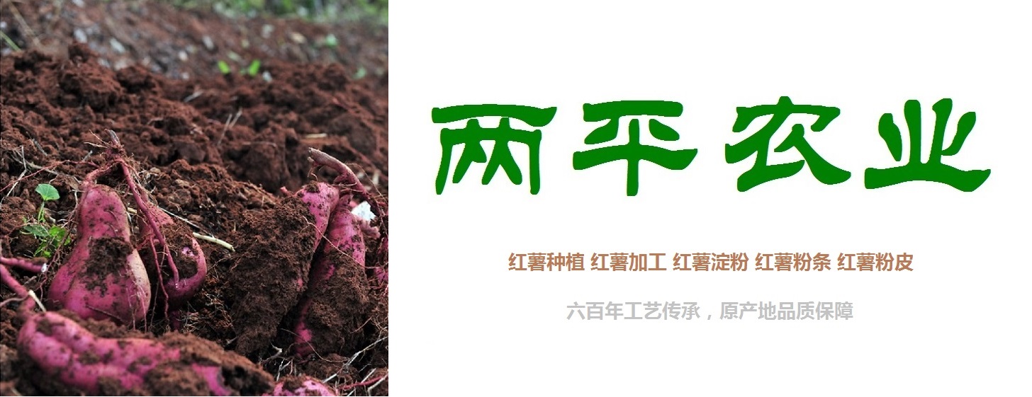 晋城粉条生产基地