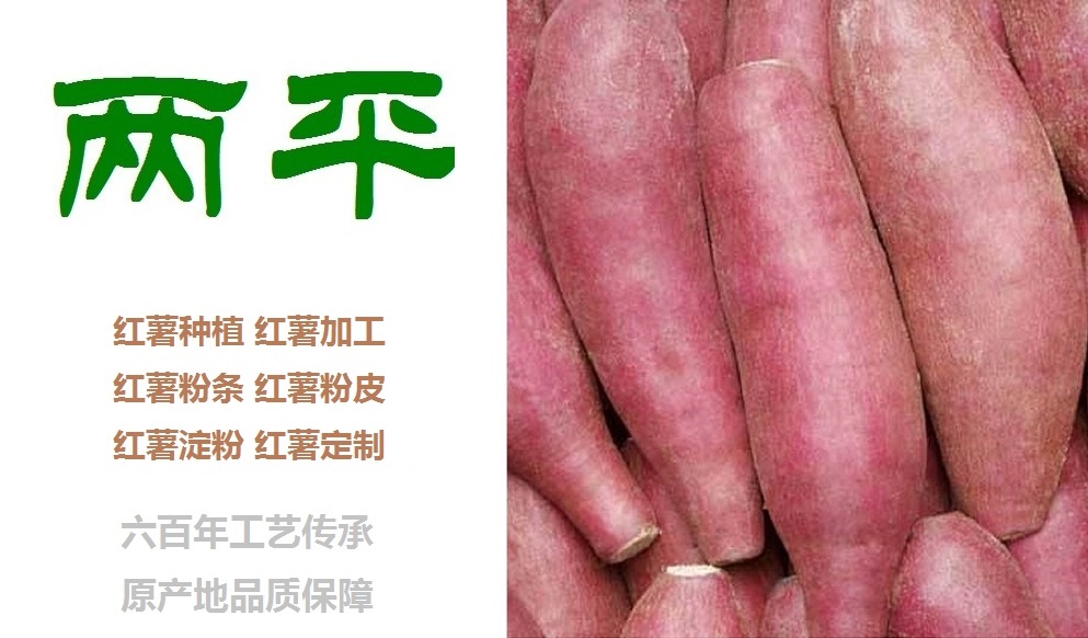南平粉条批发价格