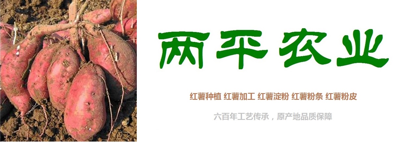 丹东正宗红薯粉条知名品牌