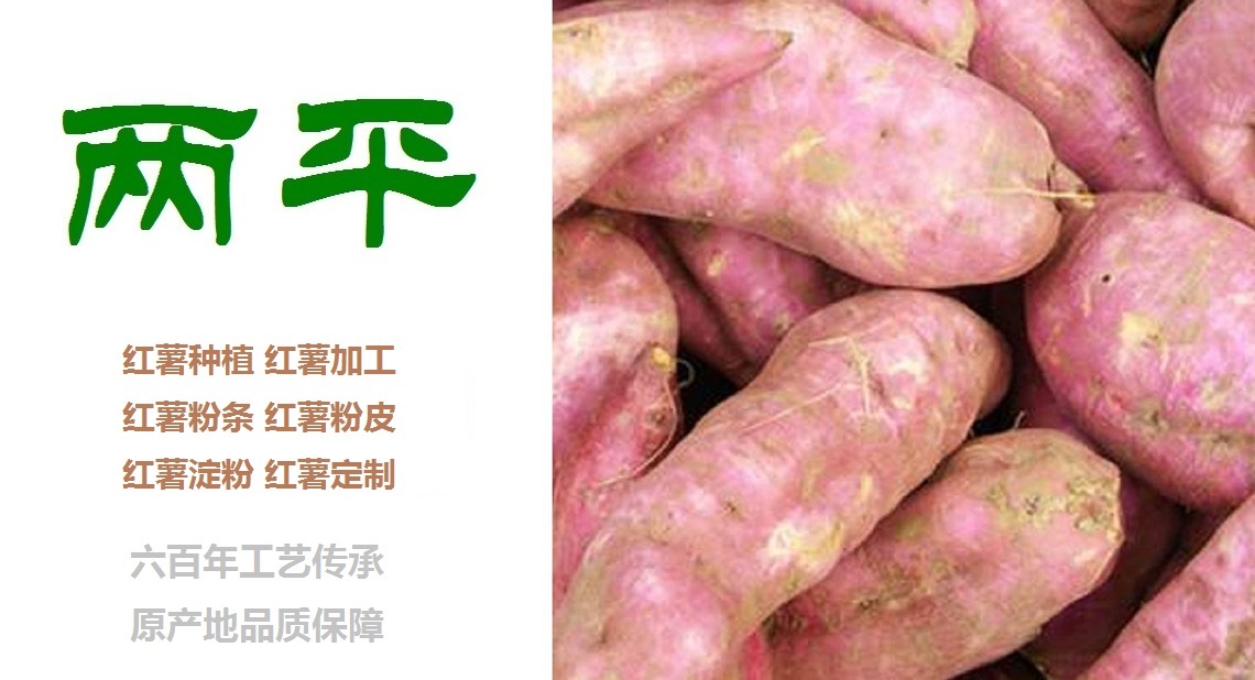 果洛正宗红薯粉条批发商