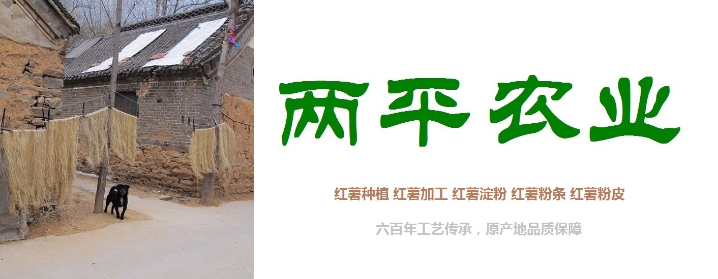 温州纯红薯粉条加工基地