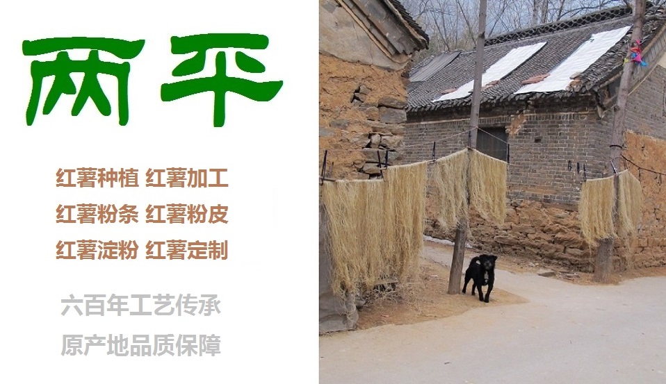 铜陵粉条生产基地