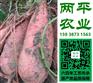 阿里手工粉条原产地