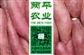 贵阳手工粉条生产厂家