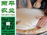 六安手工粉条主产区