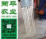 防城港粉条代加工