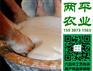 唐山红薯粉条成本价格