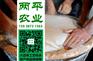 贺州正宗红薯粉条生产企业