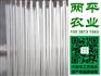 岳阳粉条生产基地