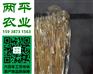 吐鲁番红薯粉条供应商