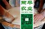 宜宾正宗红薯粉条原产区