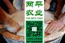 白银正宗红薯粉条出厂价