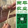 衢州红薯粉条分辨方法