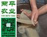 内蒙古红薯粉条OEM代工