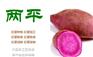 甘肃纯红薯粉条辨别办法