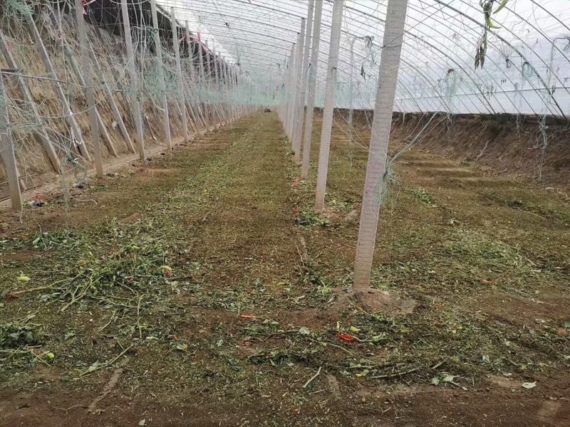 聊城果园专用杂草粉碎还田机哪家好