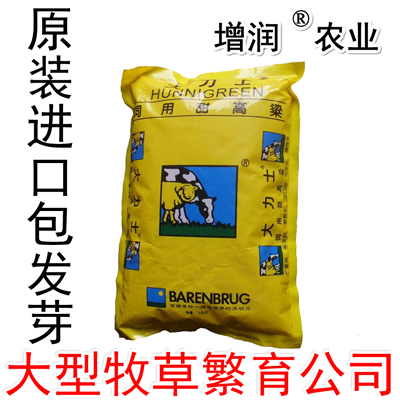 甜高粱种子 大力士甜高粱牧草种子包邮 南方北方优质种子