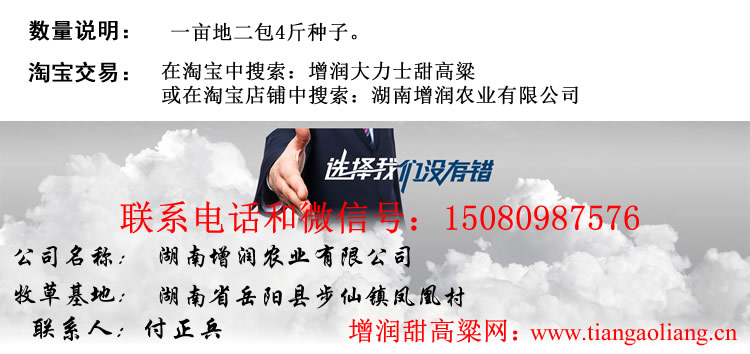 甜高粱种子 大力士甜高粱牧草种子包邮 南方北方优质种子