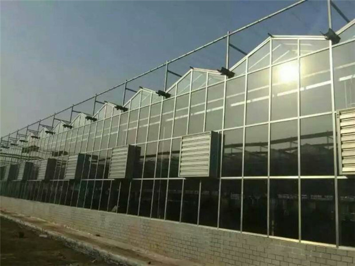 建设玻璃温室，玻璃大棚，智能玻璃温室大棚&nbsp;&nbsp;玻璃温室工程价格&nbsp;&nbsp;纹络式玻璃温室