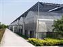 双拱双膜连栋温室的建设厂家在哪里