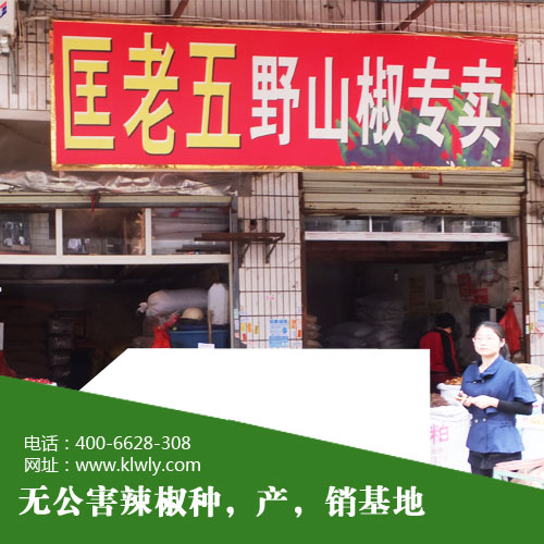 辣椒酱用干辣椒 匡老五辣业教你怎么选