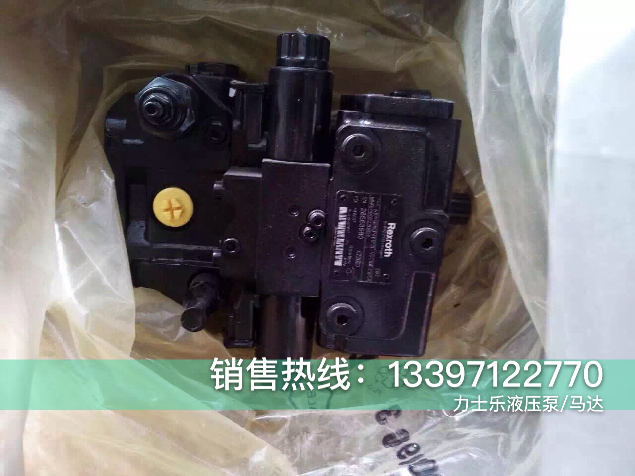 SDV201B7B1D&nbsp;&nbsp;力士乐&nbsp;&nbsp;力士乐柱塞泵&nbsp;&nbsp;德国力士乐