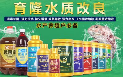 痢菌净原粉厂家生产线氟苯尼考粉供应厂家生产线厂家直  泰妙菌素批发厂家  硫酸新霉素原粉厂