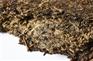 黑茶代理规则有哪些？香木海黑茶全网解析