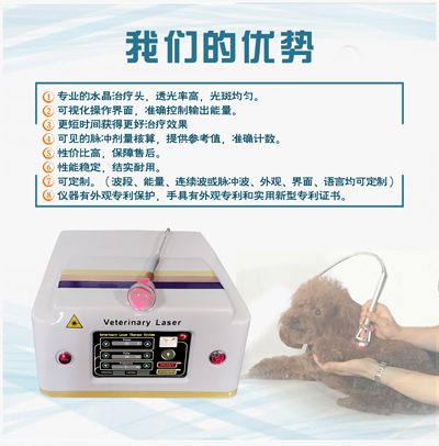 兽医激光理疗仪  兽医激光治疗  980nm  宠物激光