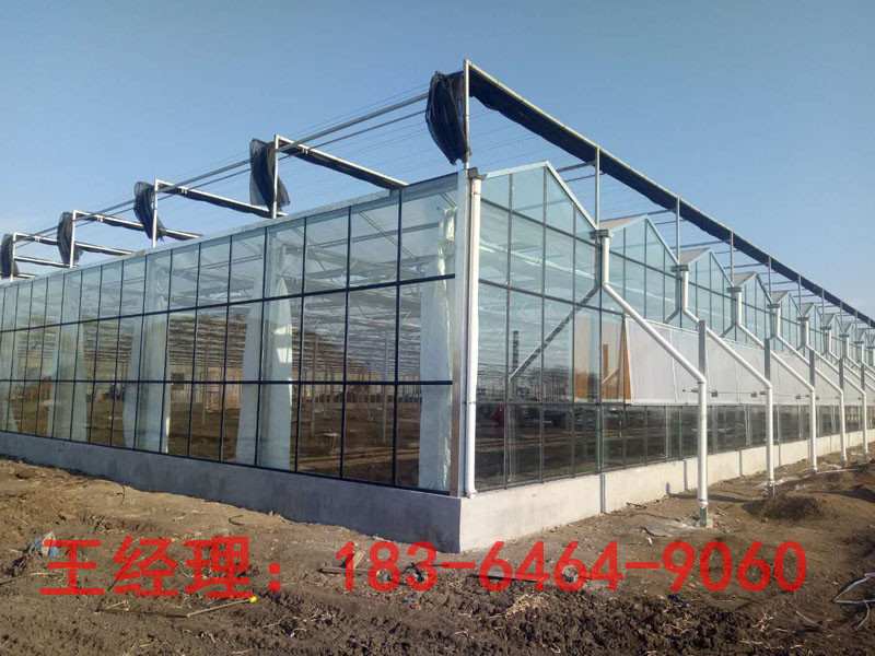 玻璃温室  智能温室  连栋温室