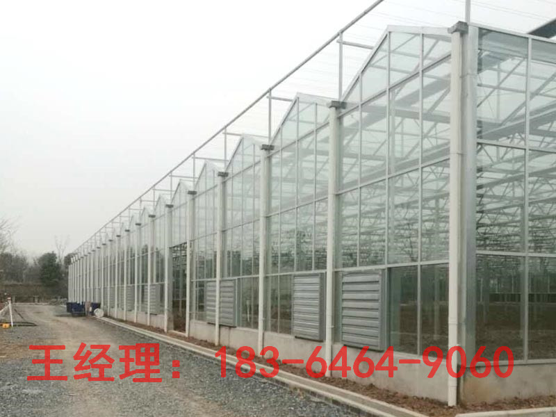 智能玻璃温室大棚  智能温室