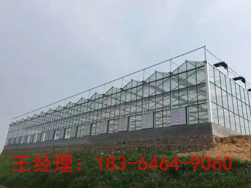 智能玻璃温室大棚  智能温室