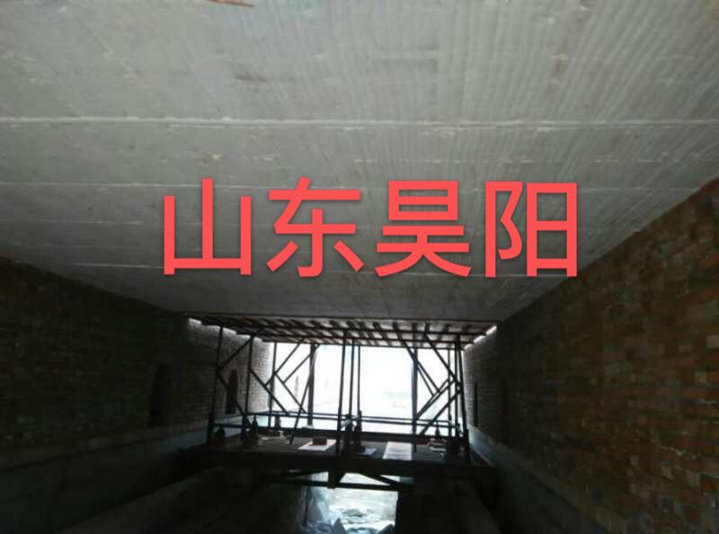 山东昊阳标准模块厂家直销砖厂专用  颜色白  耐高温  抗拉强度大