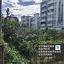 青岛项目可行性研究报告