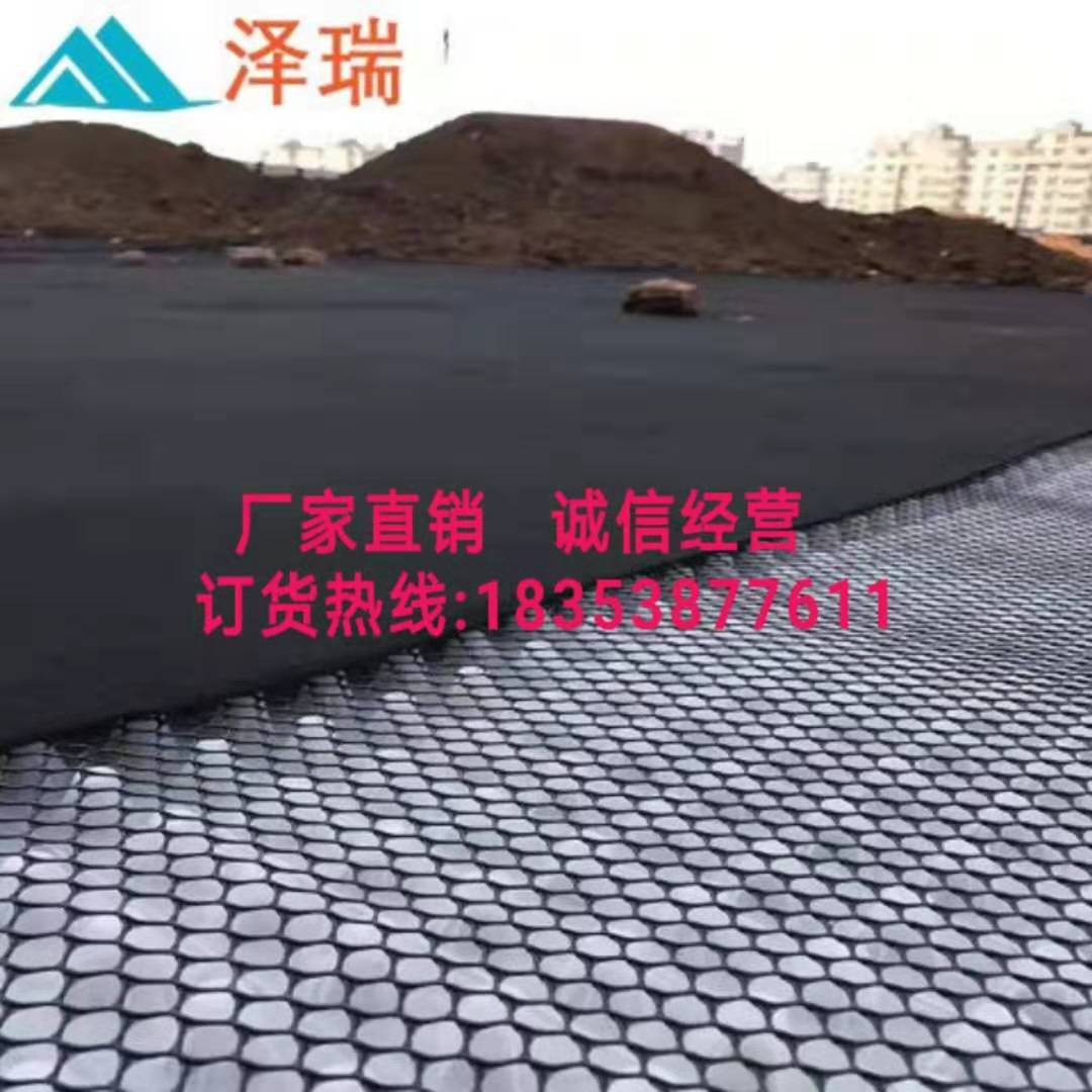 大同绿化环保排水板√25厚车库蓄排水板厂家  大同绿化排水板  大同25厚蓄排水板  大同车库蓄排水板