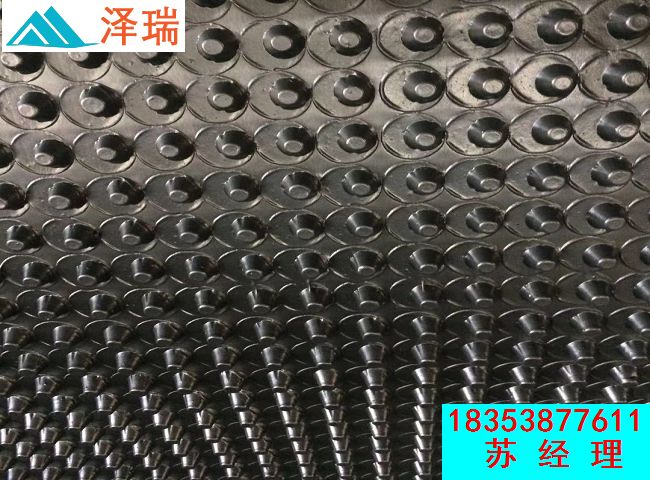 沈阳车库高强度排水板|地下室底板排水板  沈阳车库排水板  沈阳高强度排水板  沈阳地下室排水板