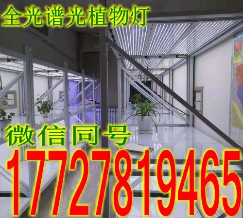 LED植物补光灯与其他灯的区别&nbsp;&nbsp;LED植物灯&nbsp;&nbsp;植物生长灯