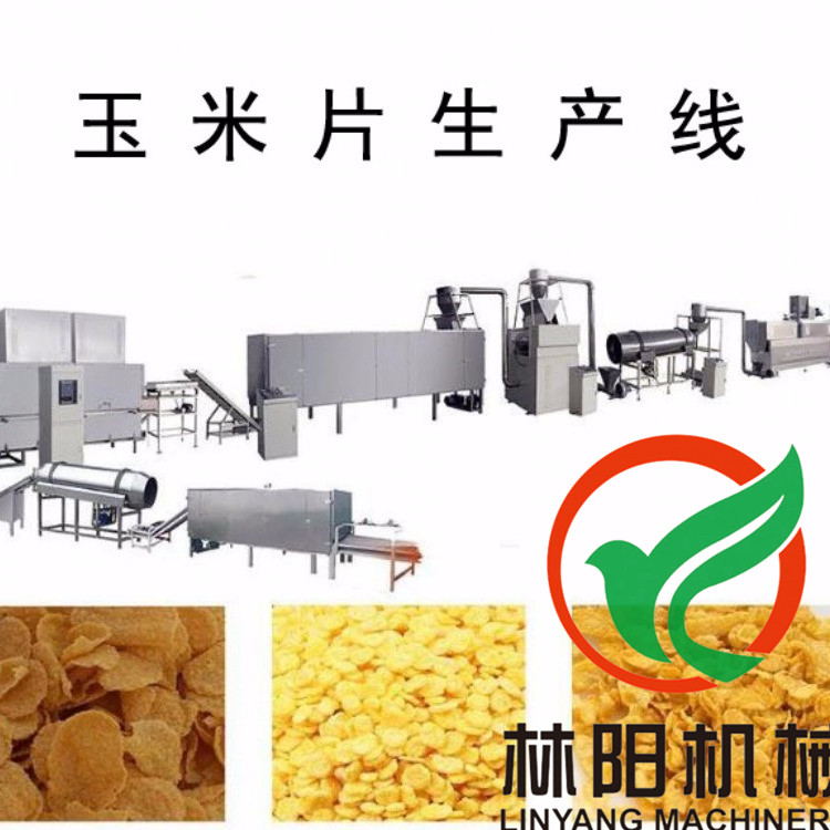 双螺杆膨化机设备 早餐谷物玉米片生产设备  早餐谷物生产线
